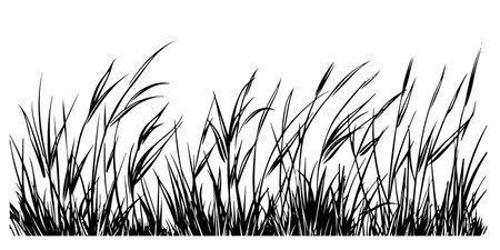 doodle grass illustration collection hand drawn styleのイラスト素材