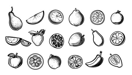 Vector sketch fruits and berries icons set. Decorative retro style collection hand drawn farm product for restaurant menu, market label. Mango, blueberry, pineapple, mandarin and etc.のイラスト素材