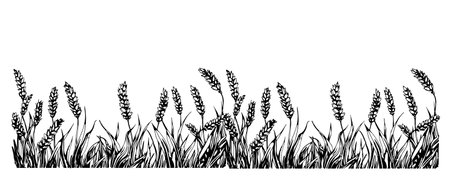 Wheat border village landscapeのイラスト素材