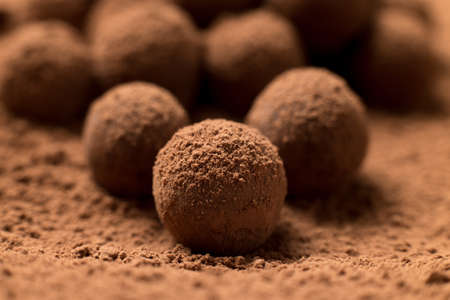 Close up of group of appetizing black chocolate truffles covered in cocoa dust. Shallow depth of fieldの写真素材