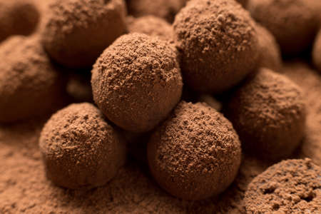 Close up of group of homemade yummy chocolate truffles sprinkled with cocoa powder. Shallow depth of fieldの写真素材