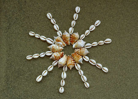 Sun made of shells on the sandの写真素材