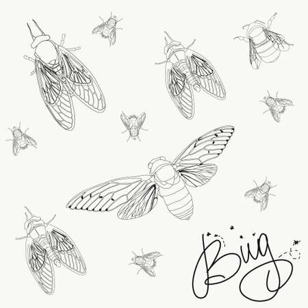 Black outline of insects on white backgrounのイラスト素材