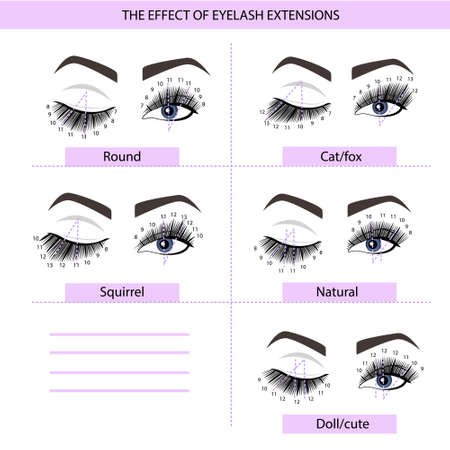 Eyelash Extension Guide. Direction schemes. Tips and tricks for eyelash extension. Infographicのイラスト素材