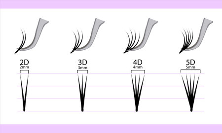 Eyelash extension infographics. Step by step guide. Types of Lash Curlsのイラスト素材