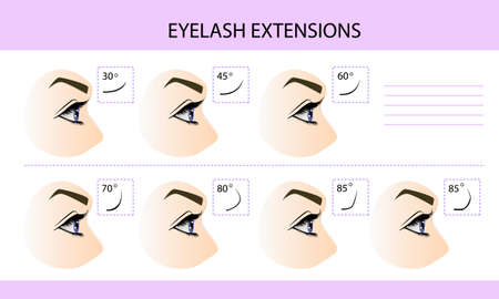 Eyelash extension infographics. Step by step guide. Types of Lash Curlsのイラスト素材