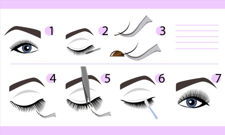 Eyelash extension infographics. Step by step guide. Types of Lash Curlsのイラスト素材