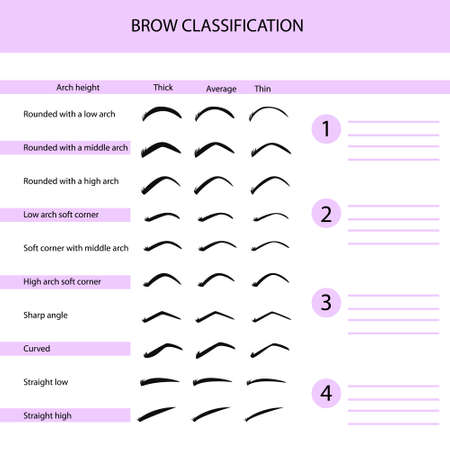 Eyebrow classification, eyebrow training materials, vector illustration, infographicsのイラスト素材