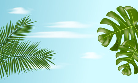 Summer style with tropical leaves, realistic wooden podium on blue sky background with clouds. Podium for product demonstration. vectorのイラスト素材