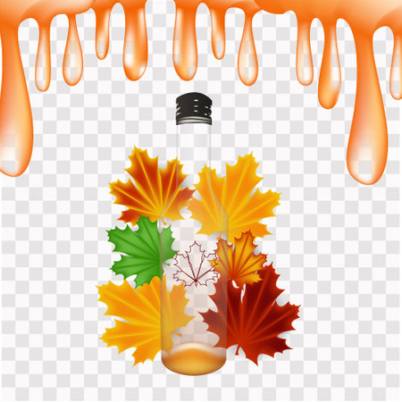 Maple syrup, realistic vector illustration of glass bottle and maple leaves and dripping syrup dropsのイラスト素材
