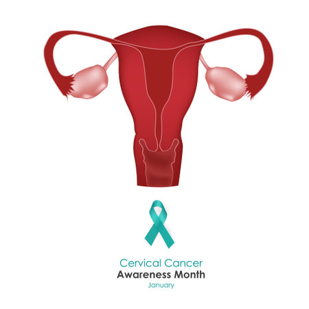 January is a month of cervical cancer awareness.のイラスト素材