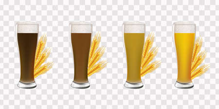 Glasses with beer on a transparent background and realistic ears of wheat vectorのイラスト素材
