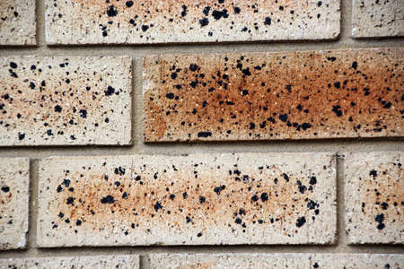 Detail on modern textured clay brick wallの写真素材
