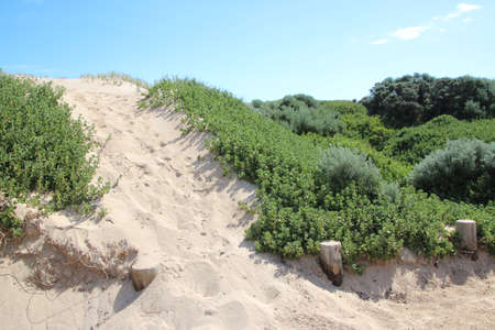 Sandy track over dune to beach south western Australiaの写真素材
