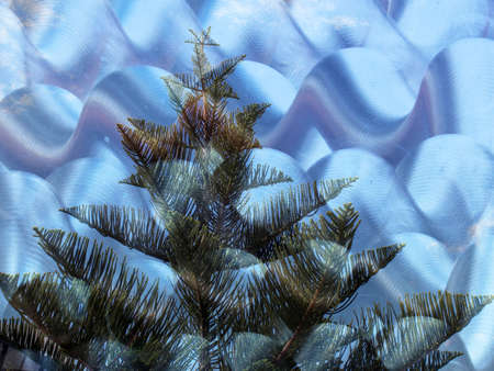 Festive Pine tree on blue shiny backgroundの写真素材