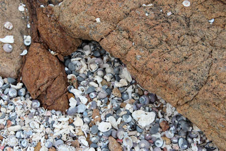 Worn shells by ancient rock on beachの写真素材