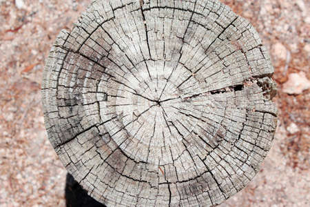 Weathered wooden  fence post  in parking areaの写真素材