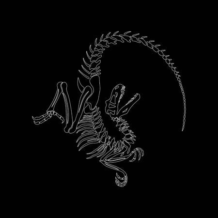 Graphic illustration of velociraptor skeleton. White outline.のイラスト素材