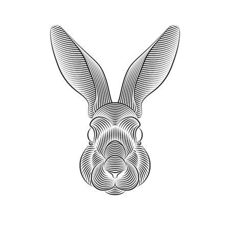 Engraving of stylized rabbit portrait on white background.のイラスト素材