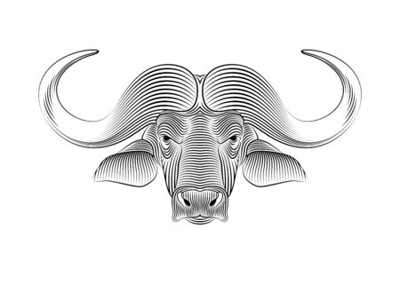 Engraving of stylized buffalo on white background. Linear drawing. Portrait of a buffaloのイラスト素材