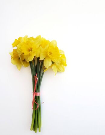 bouqut of yellow daffodil on white background.の写真素材