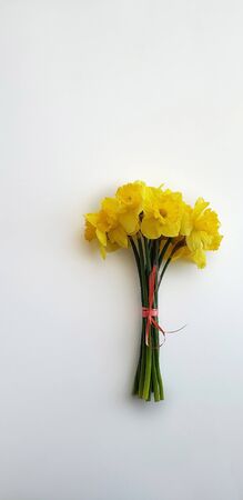bouqut of yellow daffodil on white background.の写真素材