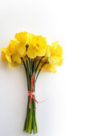 bouqut of yellow daffodil on white background.の写真素材