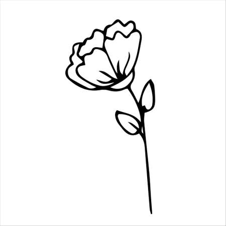 Beautiful flower, Spring twig with leaves, floral object in doodle style, flowers hand draw, isolate on a white background.のイラスト素材