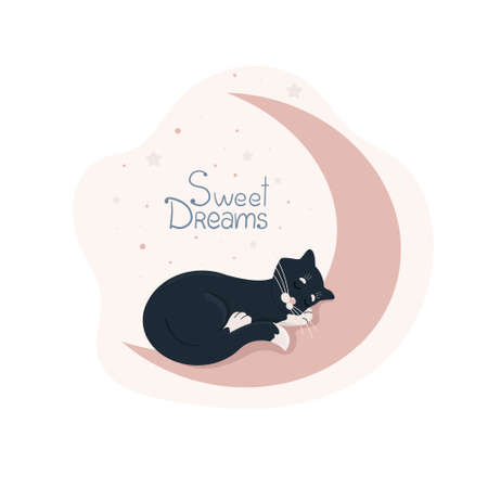 Cute black kitten with white paws and white tail tip curled up and sleeping on the moon, pets for baby posters and various goods, vector illustration in flat styleのイラスト素材