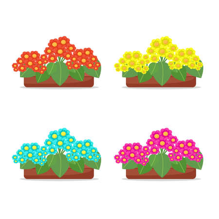 Red flowers in a pot, houseplants, cute flowers, vector illustration in flat style, cartoonのイラスト素材