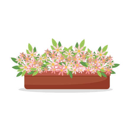 Pink daisies in a pot, houseplants, cute pink flowers, vector illustration in flat style, cartoonのイラスト素材