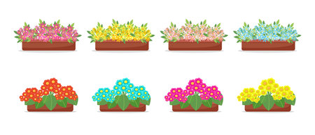 Flowers in pots in flat style set, big collection of spring flowers in boxes, vectors isolatedのイラスト素材