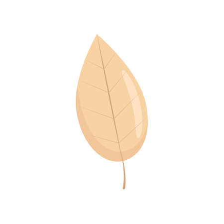 Yellow fallen leaf in flat style, autumn leaves, vector object in flat style. Isolateのイラスト素材