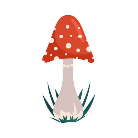Red toadstool mushroom in flat style, vector illustration, isolateのイラスト素材