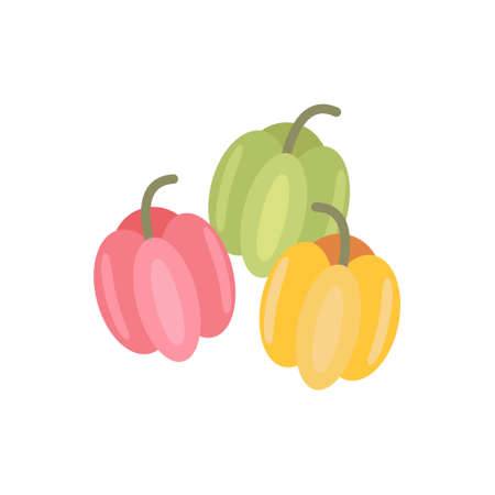 Illustration set of Bulgarian pepper, autumn vegetablesのイラスト素材