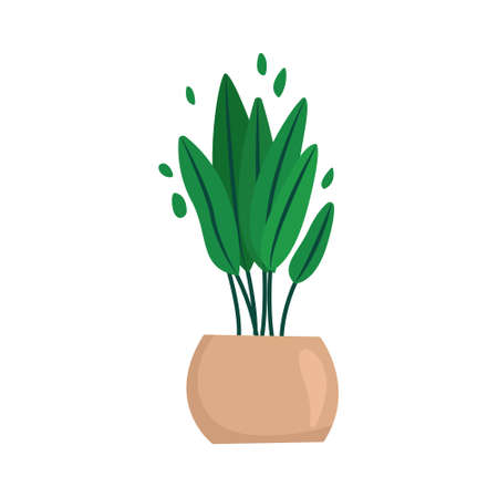 Houseplant in a pot. Vector illustration in flat styleのイラスト素材