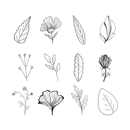 Set of flowers and leaves in doodle style. Vector illustration, isolated objectsのイラスト素材