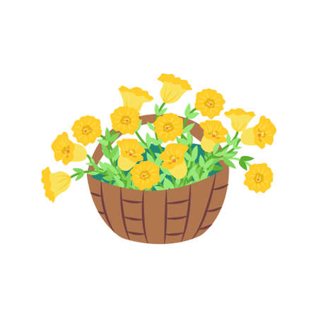 Basket with yellow petunias. Bush of lush flowers. Vector illustrationのイラスト素材