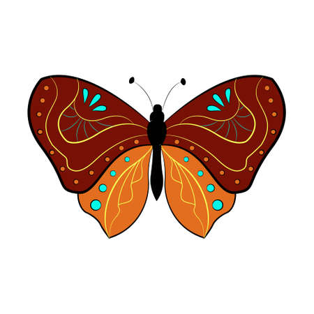 Butterfly exotic winged insect, vector illustration. Colored butterfly with large wingsのイラスト素材