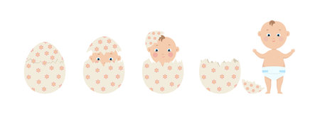 Human baby hatching from egg, embryo development evolution, vector illustrationのイラスト素材