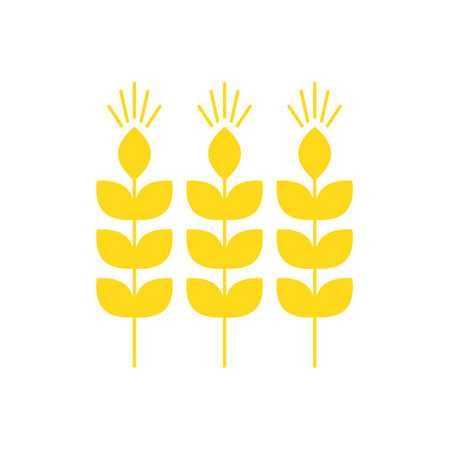 Three spikelets on a white background Vector illustrationのイラスト素材