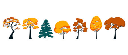 Set of different autumn trees pine and deciduous horizontal arrangement. Vector illustration of park yellow leaves and nature objects isolated on whiteのイラスト素材