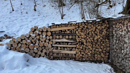 Stack of Firewood Outdoors in a Snowy Winter Forest Setting