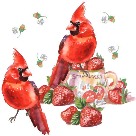 Strawberries in cup and Cardinal birds. Strawberry lettering on cup. Christmas. Can be used as a postcard, cover background, or for a web message. Vector illustration in a watercolの写真素材
