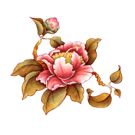 Camellia flower watercolor illustration. Manual composition. Design for textile, wallpapers, Element for design, Greeting card.の写真素材