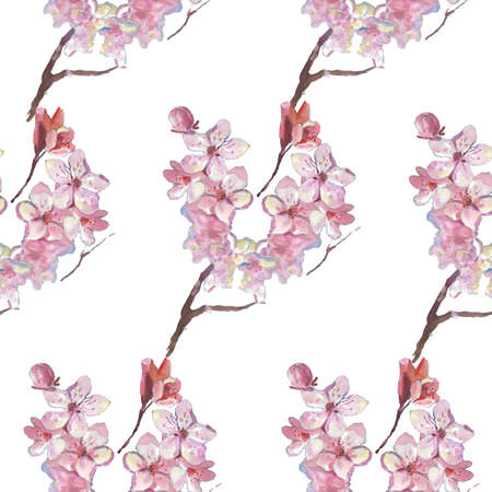 watercolor cherry blossom flower. spring flowers. Watercolor botanical pattern. Wedding Sakura Print.の写真素材