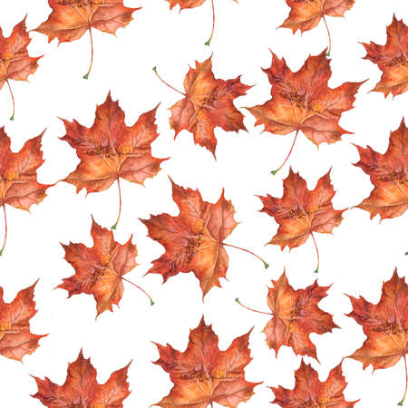 Seamless pattern. Autumn pattern from maple leaves. Autumn maple tree leaf for the design of greeting cards, holiday banners, and posters.の写真素材
