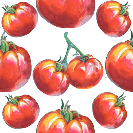 watercolor illustration. fresh red tomatoes. Vegetables. Manual composition. Design for textile, wallpapers, Element for design, Greeting card.の写真素材
