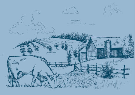 Green grass field on small hills. Meadow, alkali, lye, grassland, pommel, lea, pasturage, farm. Rural scenery landscape panorama of countryside pastures. vector sketch illustrationのイラスト素材