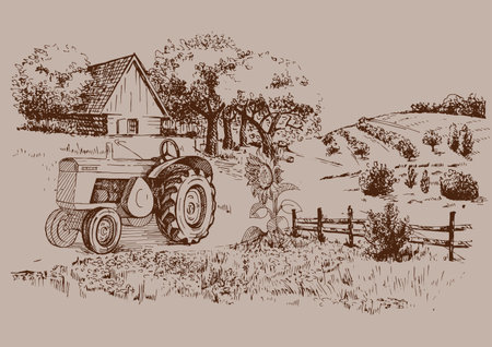 Green grass field on small hills. Meadow, alkali, lye, grassland, pommel, lea, pasturage, farm. Rural scenery landscape panorama of countryside pastures. vector sketch illustrationのイラスト素材